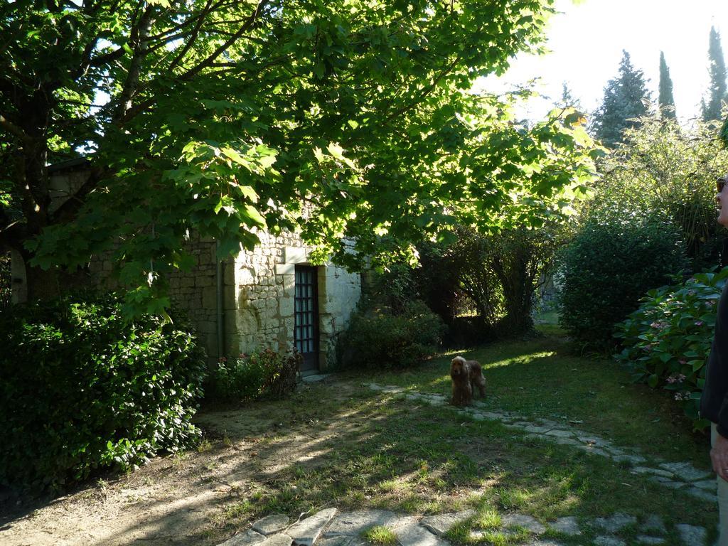 Le Logis Du Peu Girard Bed & Breakfast La Roche-Clermault Luaran gambar