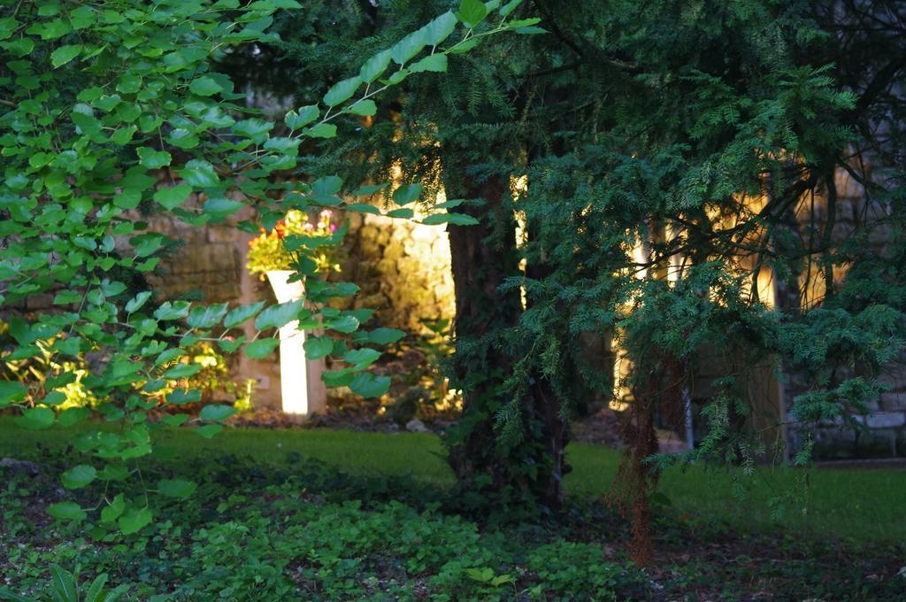 Le Logis Du Peu Girard Bed & Breakfast La Roche-Clermault Luaran gambar