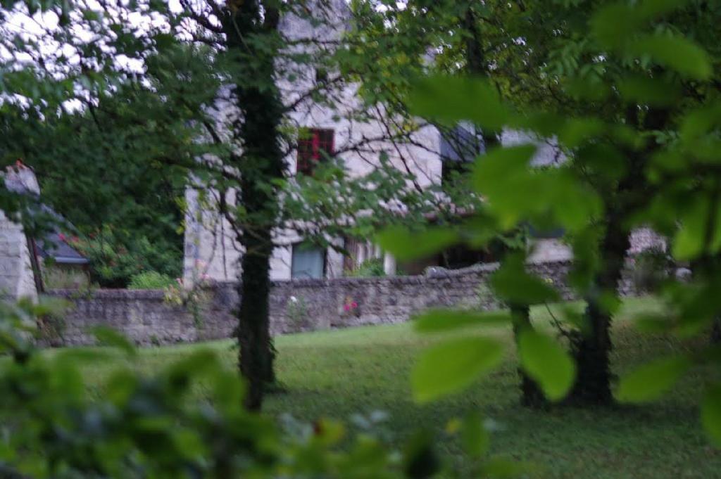 Le Logis Du Peu Girard Bed & Breakfast La Roche-Clermault Luaran gambar