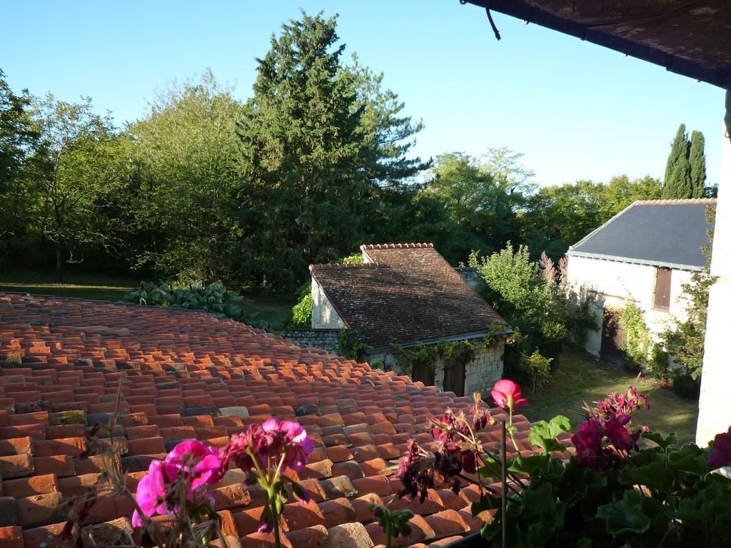 Le Logis Du Peu Girard Bed & Breakfast La Roche-Clermault Bilik gambar